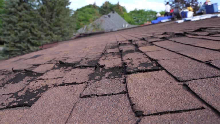 Best Gutter Installation and Repair  in Hercules, CA