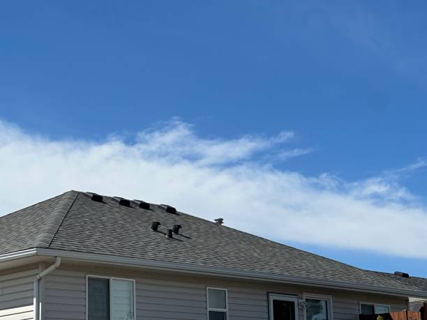Best Green or Eco-Friendly Roofing Solutions  in Hercules, CA